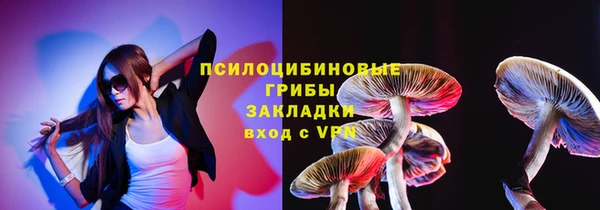 бутират Алексин