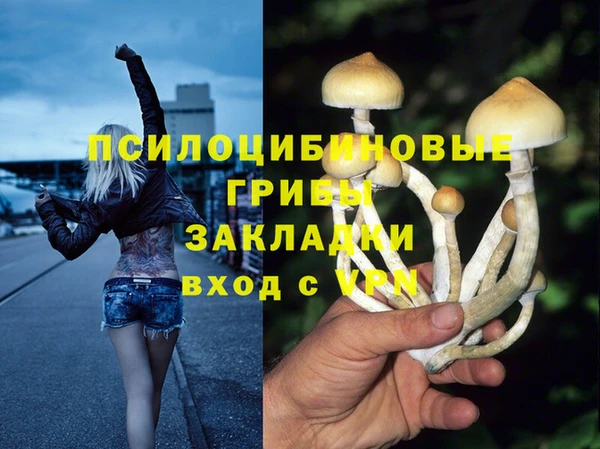 бутират Алексин