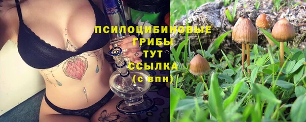 бутират Алексин