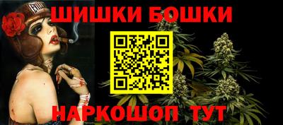 индика Можайск