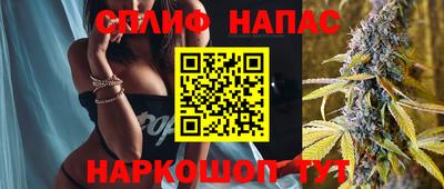 амф Можга