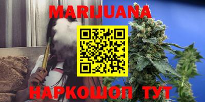 индика Можайск