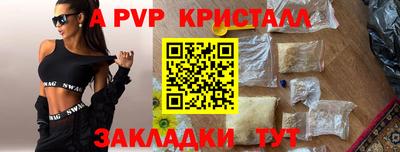 амф Можга